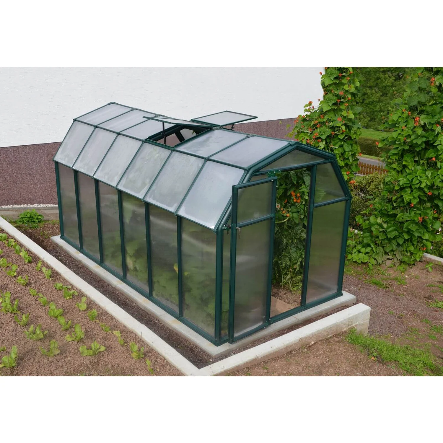 Palram - Canopia Eco Grow Greenhouse 6X12 Green 4 Palram - Canopia Eco Grow Greenhouse 6X12 Green - Image 4