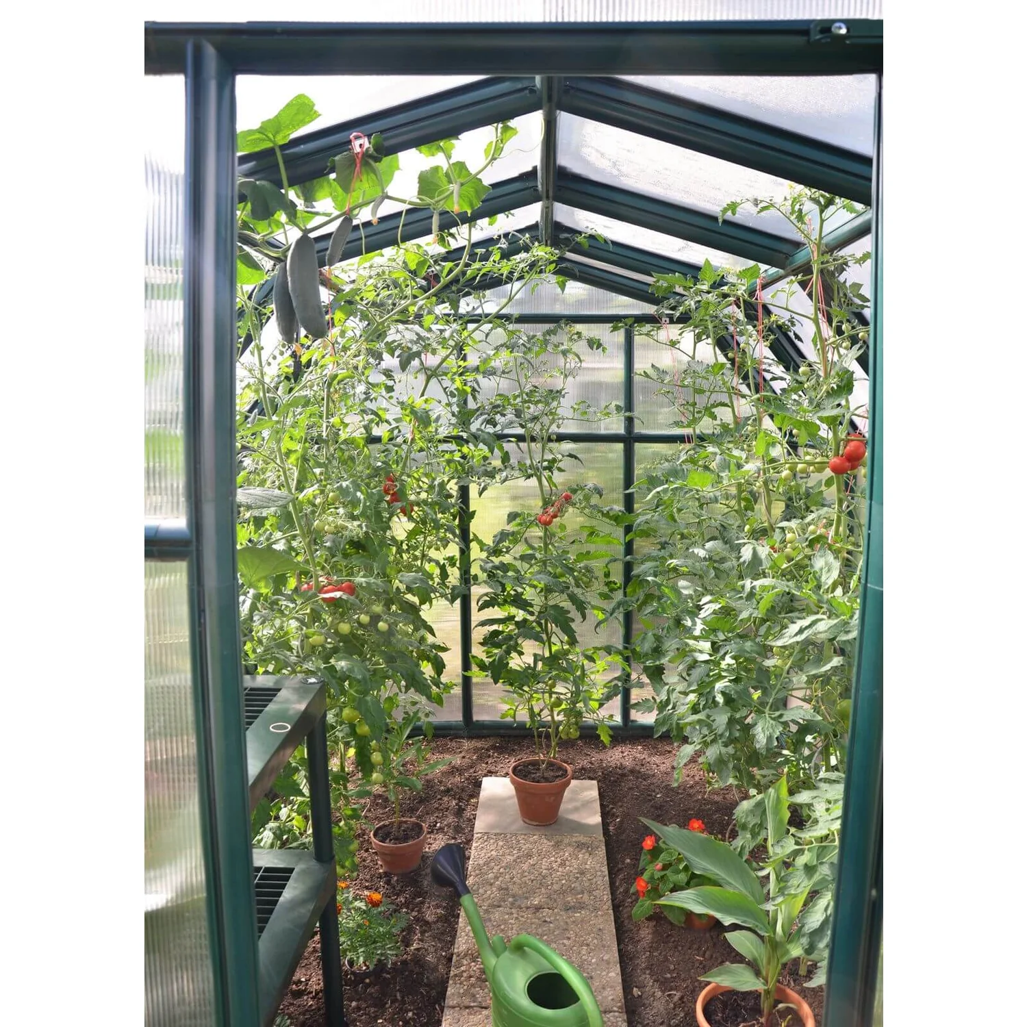 Palram - Canopia Eco Grow Greenhouse 6X12 Green 5 Palram - Canopia Eco Grow Greenhouse 6X12 Green - Image 5