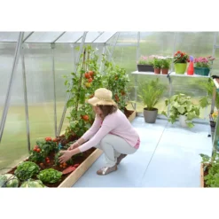 Palram 8 X 12ft Canopia Essence Greenhouse - Silver -Garantia Sales Store 12810970 1964833196432233