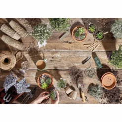 RHS Horticultural Sharp Sand Large Pack - 20kg -Garantia Sales Store 12813007 1944857554431530