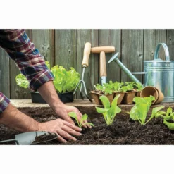 RHS Horticultural Sharp Sand Large Pack - 20kg -Garantia Sales Store 12813007 1964857554364480