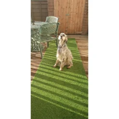 Nomow 20mm Meadow Grass Artificial Grass Roll - 2m Width 12 Nomow 20mm Meadow Grass Artificial Grass Roll - 2m Width -Garantia Sales Store 12813441 1904843355255718
