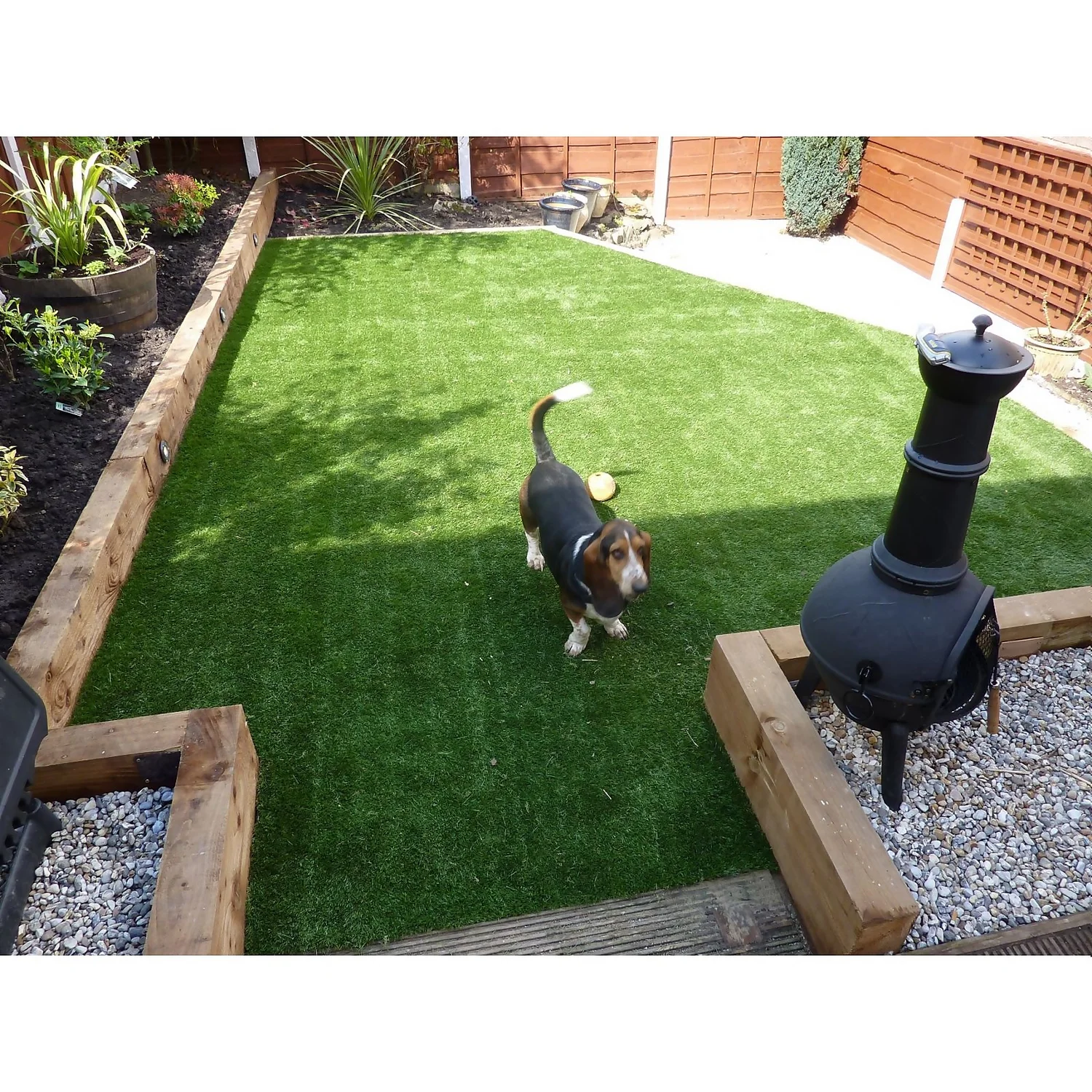 Nomow 20mm Meadow Grass Artificial Grass Roll - 2m Width 7 Nomow 20mm Meadow Grass Artificial Grass Roll - 2m Width - Image 7