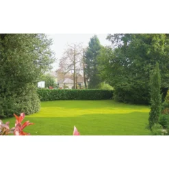 Nomow 28mm Garden Grass Artificial Grass Roll - 2m Width -Garantia Sales Store 12816410 1224832990492835