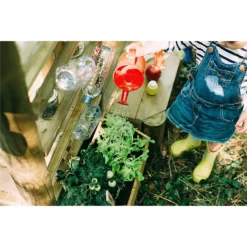 Plum Discovery Mud Pie Kitchen -Garantia Sales Store 12821520 7764957305110193