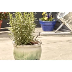 Miracle-Gro Pump & Feed All Purpose Plant Food - 200ml -Garantia Sales Store 12834802 8834833167206419