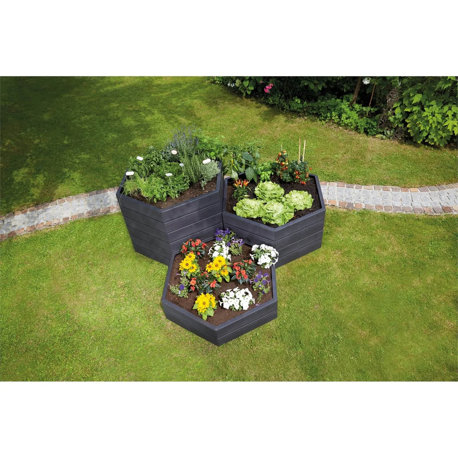 Garantia Ergo Raised Bed - Height 25cm 6 Garantia Ergo Raised Bed - Height 25cm - Image 6