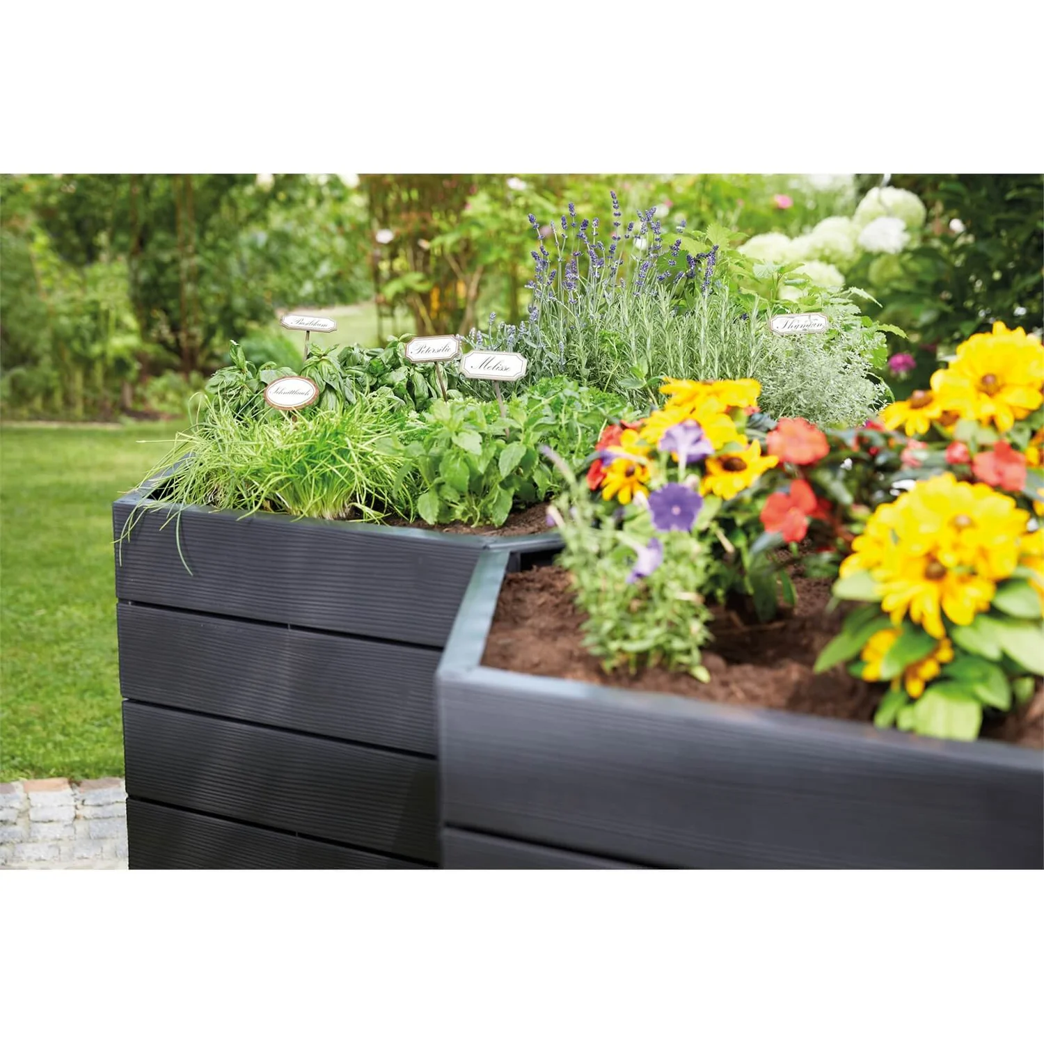Garantia Ergo Raised Bed - Height 25cm 4 Garantia Ergo Raised Bed - Height 25cm - Image 4