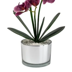 Orchid With Silver Glass Pot - Purple -Garantia Sales Store 12879285 1054864281948609