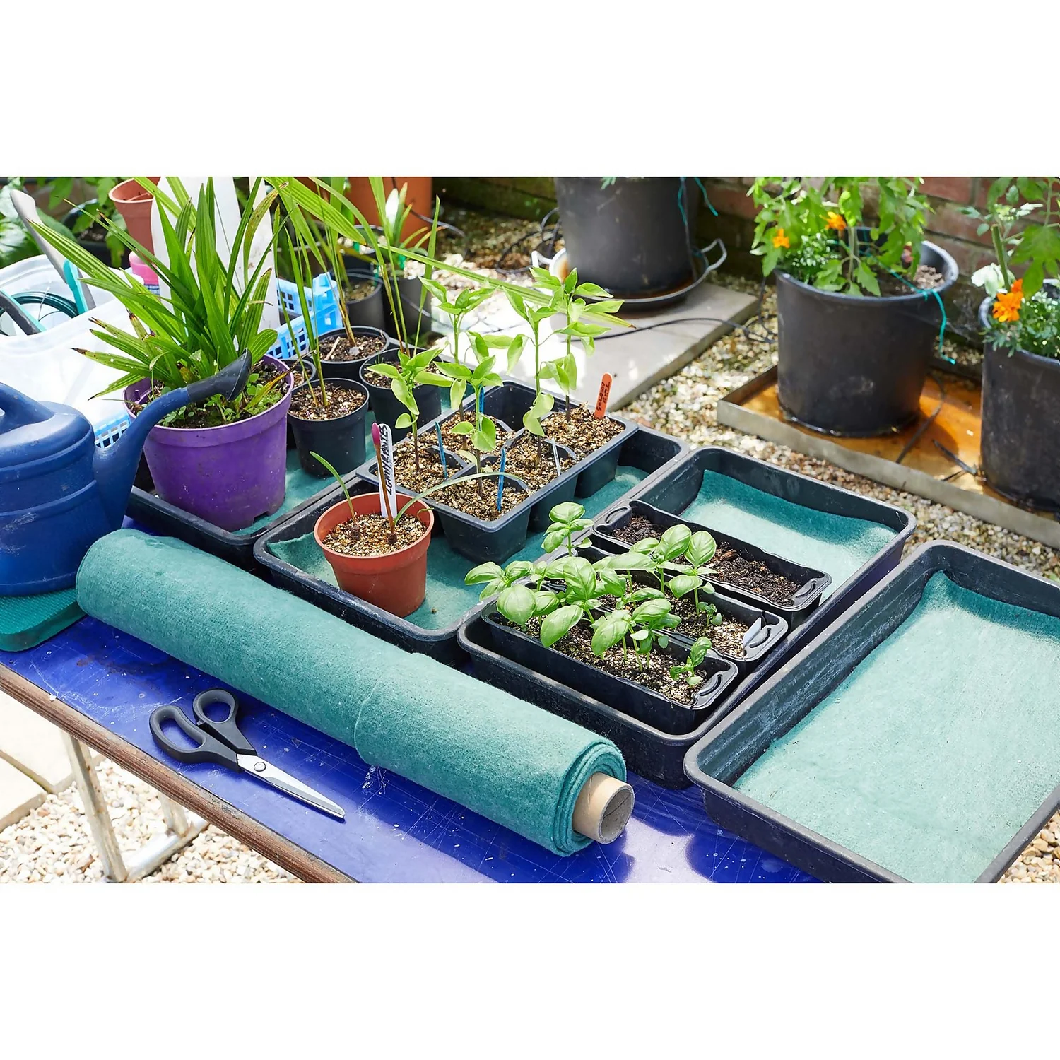 Plant Moisture Mat - 2.4m X 0.6m 2 Plant Moisture Mat - 2.4m X 0.6m - Image 2