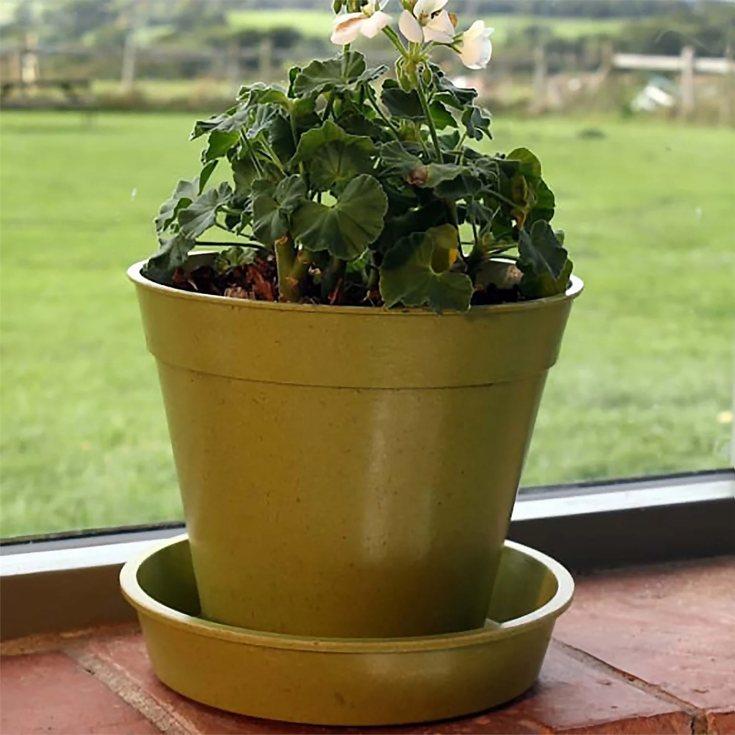 8in Bamboo Pot Single Sage Green 2 8in Bamboo Pot Single Sage Green - Image 2