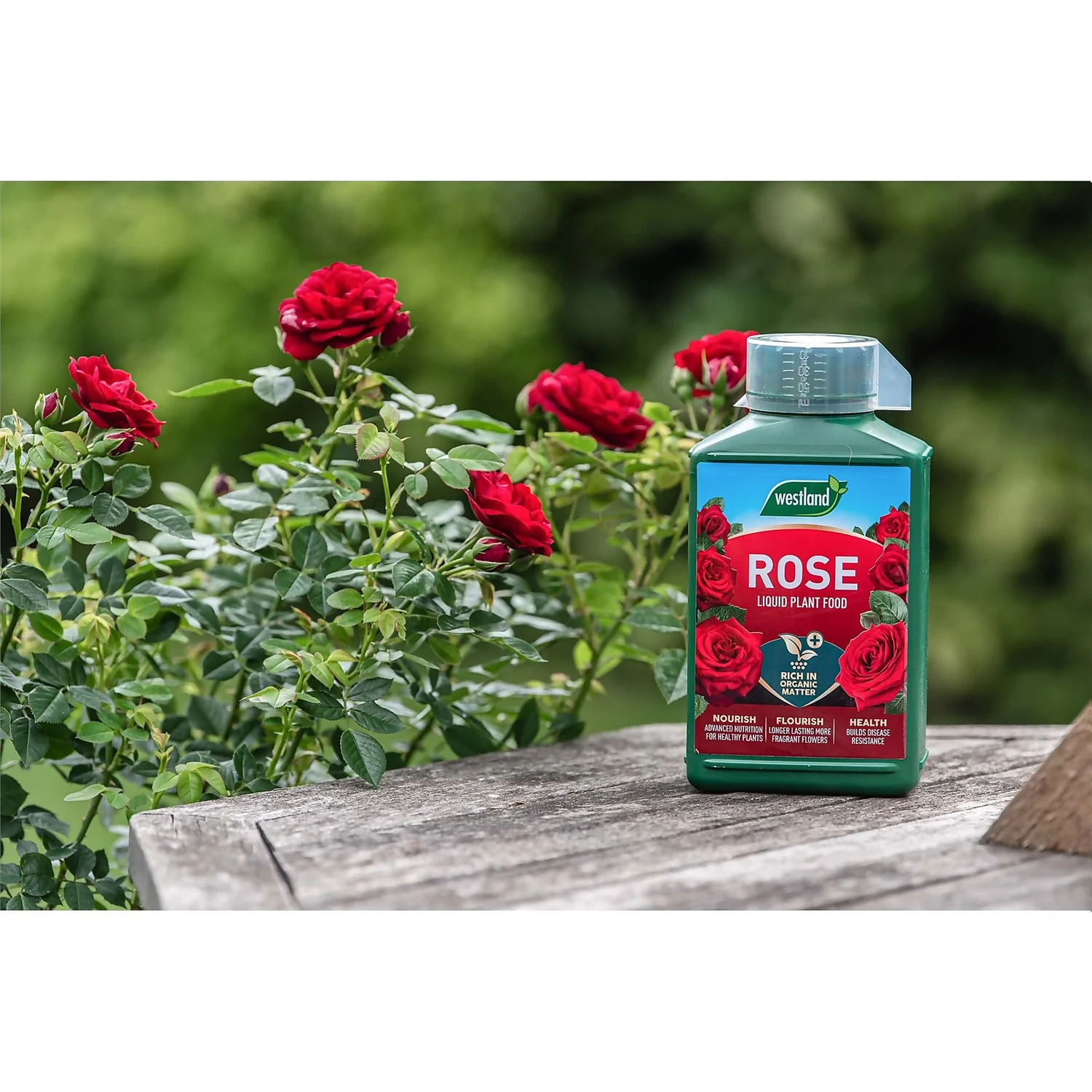 Westland Rose Specialist Liquid Plant Food Concentrate - 1l 3 Westland Rose Specialist Liquid Plant Food Concentrate - 1l - Image 3