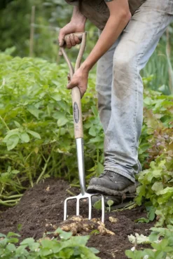 Spear & Jackson Traditional Stainless Digging Fork -Garantia Sales Store 12904675 1274851072244143