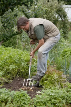 Spear & Jackson Traditional Stainless Digging Fork -Garantia Sales Store 12904675 2754851072222033