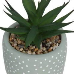 Small Succulent - Green -Garantia Sales Store 12909501 2094869235594320
