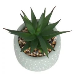 Small Succulent - Green -Garantia Sales Store 12909501 6844869235562523