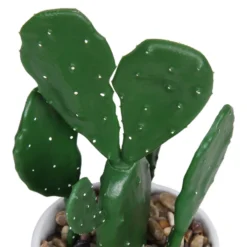 Cactus In Abstract Pot -Garantia Sales Store 12909502 1344869235594629