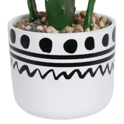 Cactus In Abstract Pot -Garantia Sales Store 12909502 2064869235687110