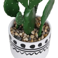 Cactus In Abstract Pot -Garantia Sales Store 12909502 2094869235640256