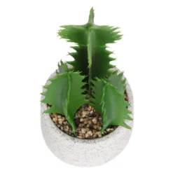 Cactus In Textured Pot -Garantia Sales Store 12909506 2804869235539384