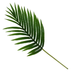 Mini Palm Leaf