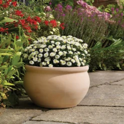 Regency Terracotta Bowl - 28cm -Garantia Sales Store 13176837 8994933182875829