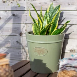 Country Living Heritage Sage Cone Pot - 41cm -Garantia Sales Store 13188757 4084933183259961