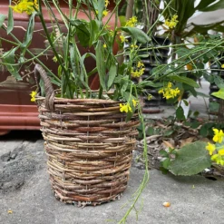 Natural Weave Round Garden Planter 25cm -Garantia Sales Store 13204835 6704951328905980