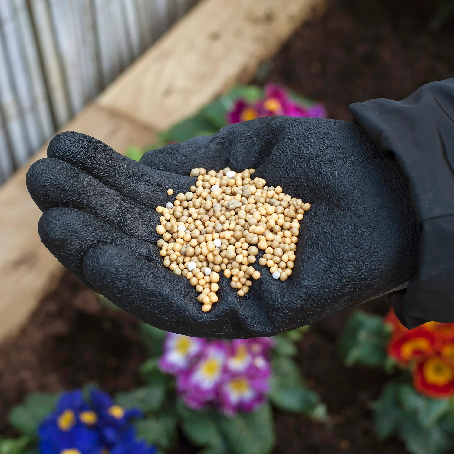 Miracle-Gro Premium All Purpose Continuous Release Plant Food 900G 3 Miracle-Gro Premium All Purpose Continuous Release Plant Food 900G - Image 3