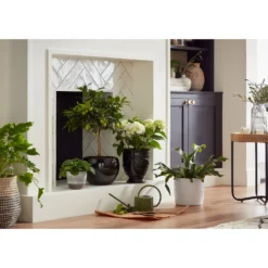 Perla White Plant Pot - 24cm -Garantia Sales Store 13432920 7464948242971850