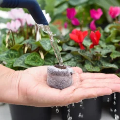 Coco & Coir Seed Germination Dots - 40mm -Garantia Sales Store 13487129 3894919981363337