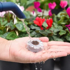 Coco & Coir Seed Germination Dots - 40mm -Garantia Sales Store 13487129 7814919981385408