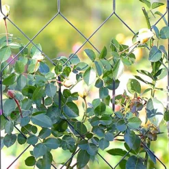 Agriframes Byzantine Garden Screen - W 1.2m X H 2.3m - Black -Garantia Sales Store 13526231 1524974422531619