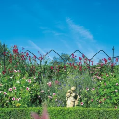 Agriframes Alpine Garden Screen - W 1.2m X H 1.7m - Black -Garantia Sales Store 13526232 1374974424239918