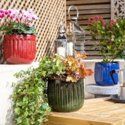 Chiswick Running Pot Blue - 38cm -Garantia Sales Store 13973638 1015011238971980