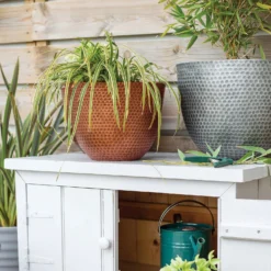 New Products -Garantia Sales Store 13973652 1145011805950221