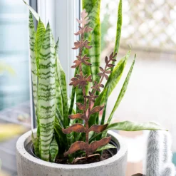 Floral Bronze Ground Stakes - 45cm (Assorted Designs) 15 Floral Bronze Ground Stakes - 45cm (Assorted Designs) -Garantia Sales Store 13981009 1695005324721013