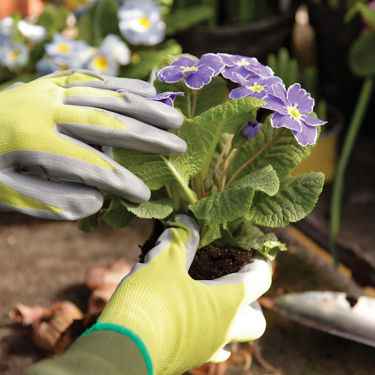 Kew Gardens Seeding And Weeding Gardening Gloves - Large 2 Kew Gardens Seeding And Weeding Gardening Gloves - Large - Image 2