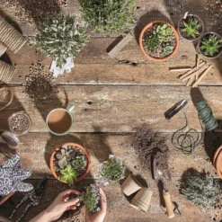 Stylish Stone Horticultural Potting Grit Midi Bag -Garantia Sales Store 13996142 1945013107357973